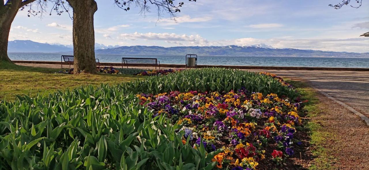 Bodensee Apartments Kressbronn "Haus Am Seepark" Kressbronn am Bodensee Zewnętrze zdjęcie